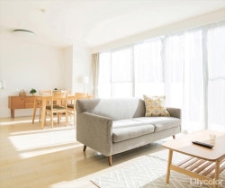 リリカラ LL-6552 シアガリキレイ　ボリュームタイプ　 【15m/30m/道具付/道具無】選択 生のり付き壁紙 LIGHT 2025 - 2028 セット販売（購入単位：セット）|1000番台壁