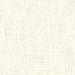 リリカラ LL-6540 天井おすすめ 【15m/30m/道具付/道具無】選択 生のり付き壁紙 LIGHT 2025 - 2028 セット販売（購入単位：セット）|1000番台壁紙セット|1000番台