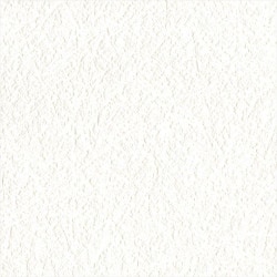 リリカラ LL-6535 天井おすすめ 【15m/30m/道具付/道具無】選択 生のり付き壁紙 LIGHT 2025 - 2028 セット販売（購入単位：セット）|1000番台壁紙セット|1000番台
