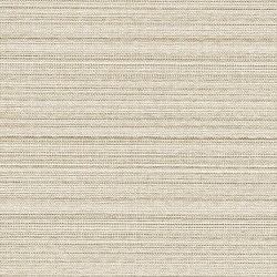 リリカラ LL-6521 カラー 【15m/30m/道具付/道具無】選択 生のり付き壁紙 LIGHT 2025 - 2028 セット販売（購入単位：セット）|1000番台壁紙セット|1000番台壁紙