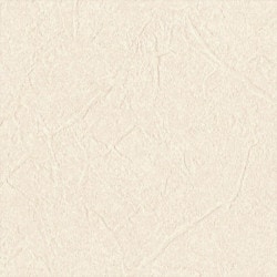 リリカラ LL-6460 カラー 【15m/30m/道具付/道具無】選択 生のり付き壁紙 LIGHT 2025 - 2028 セット販売（購入単位：セット）|1000番台壁紙セット|1000番台壁紙