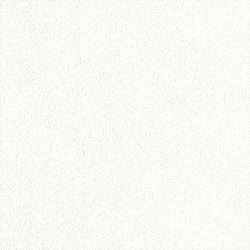 リリカラ LL-6448 カラー 【15m/30m/道具付/道具無】選択 生のり付き壁紙 LIGHT 2025 - 2028 セット販売（購入単位：セット）|1000番台壁紙セット|1000番台壁紙