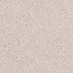 リリカラ LL-6421 カラー 【15m/30m/道具付/道具無】選択 生のり付き壁紙 LIGHT 2025 - 2028 セット販売（購入単位：セット）|1000番台壁紙セット|1000番台壁紙