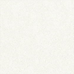 リリカラ LL-6419 カラー 【15m/30m/道具付/道具無】選択 生のり付き壁紙 LIGHT 2025 - 2028 セット販売（購入単位：セット）|1000番台壁紙セット|1000番台壁紙