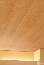 リリカラ LL-6285 ジャパン 【15m/30m/道具付/道具無】選択 生のり付き壁紙 LIGHT 2025 - 2028 セット販売（購入単位：セット）|1000番台壁紙セット|1000番台壁紙