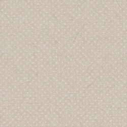 リリカラ LL-6248 kioi 【15m/30m/道具付/道具無】選択 生のり付き壁紙 LIGHT 2025 - 2028 セット販売（購入単位：セット）|1000番台壁紙セット|1000番台壁紙
