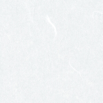 ワーロンPETシート 水拭きできる破れにくい障子紙 