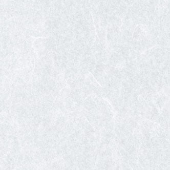 PETホームワーロン 水拭きできる破れにくい障子紙 【強化障子紙】