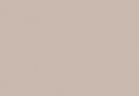 サンゲツ SP9736 石目調 ミルクティーカラー【15m/30m/道具付/道具無