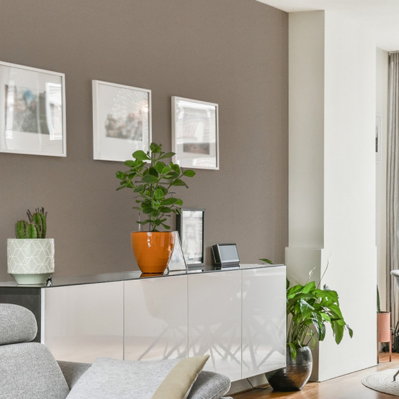 トキワ TWS8241 石目調 ブラウン【15m/30m/道具付/道具無】選択 生のり