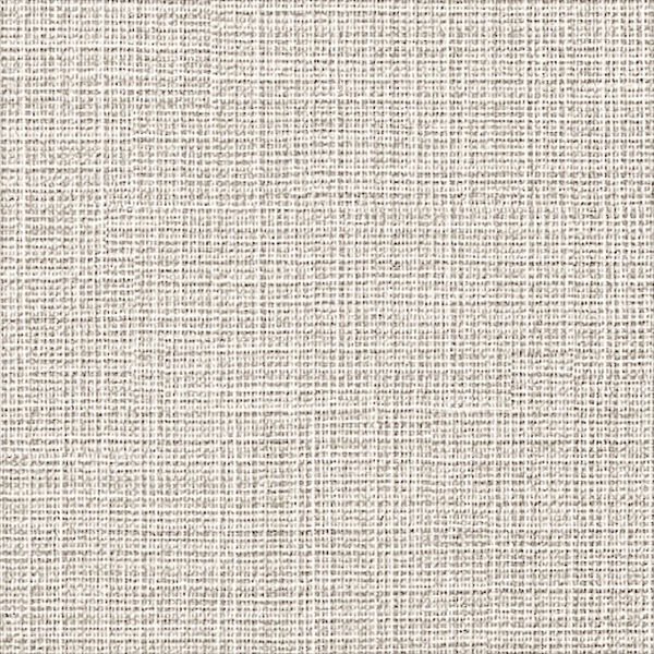 サンゲツ SP2555 生のり付き壁紙 15m/30mセット 織物調 ライトグレー