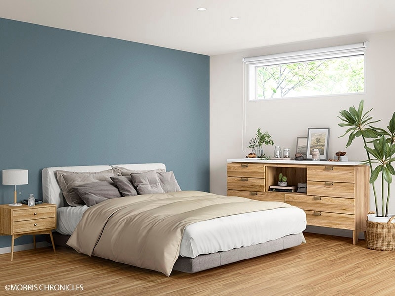 サンゲツ FE76036 モリス カラー 【15m/30m/道具付/道具無】選択 生