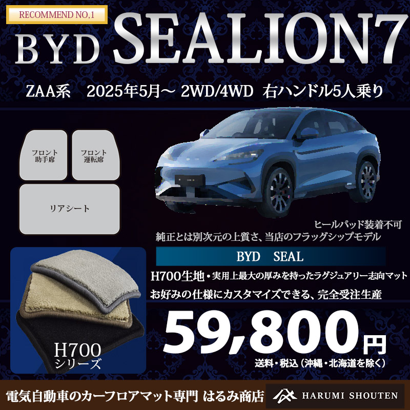 Tesla（テスラ）・MODEL3(モデル3)のカーフロアマットです。
