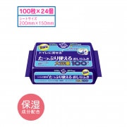 �����ƥ� �ȥ����ή���� ���äפ�Ȥ��뤪����դ� 100������24��