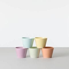 �����������ŵ �ե롼�ĥݥ�� ���Ф��礳