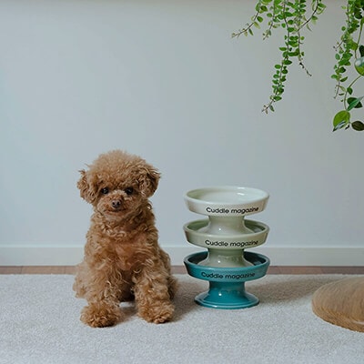 MYSTERY CIRCLE SEASON 01 フードボウル | すべて | マルヒロ