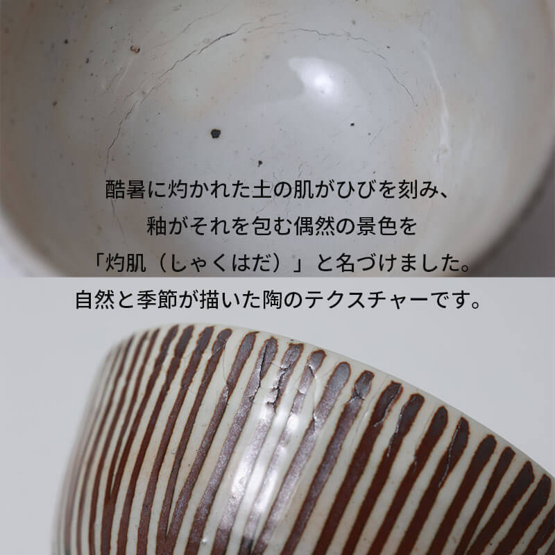 サビ十草 大皿 | すべて | マルヒロオンラインショップ