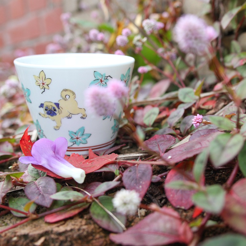 ���� ���Ф��礳 5�����å�