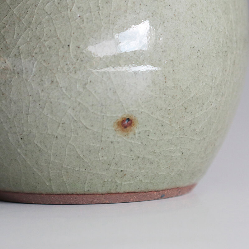 Kaneko Cup ����֥顼