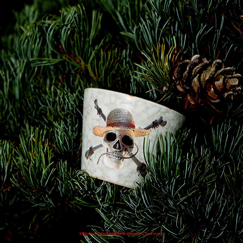 BARBAR ONE PIECE Skull ԡ Ф礳