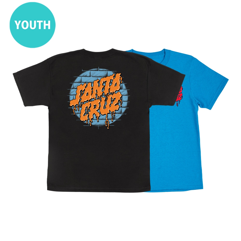 サンタクルーズ SANTA CRUZ<br>DELFINO SPOTLIGHT DOT S/S REGULAR T-SHIRT YOUTH<br>Tシャツ ユースサイズ 子供用 半袖 TEE 小学生 服 スケートボード スケボー sk8 skateboard【26SM】