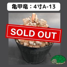 2025۵ε 4 ֡4A-13 ߡʥꥢˤû