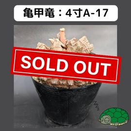 2025۵ε 4 ֡4A-17 ߡʥꥢˤû