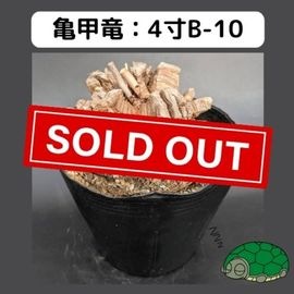 2025۵ε 4 ֡4B-10 ߡʥꥢˤû