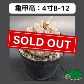 2025۵ε 4 ֡4B-12 ߡʥꥢˤû