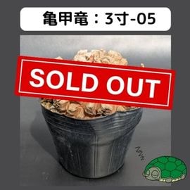 すべての商品 | はせがわナーセリー