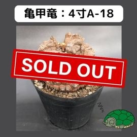 2025۵ε 4 ֡4A-18 ߡʥꥢˤû