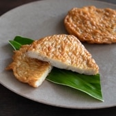 選味素材 ごぼう天