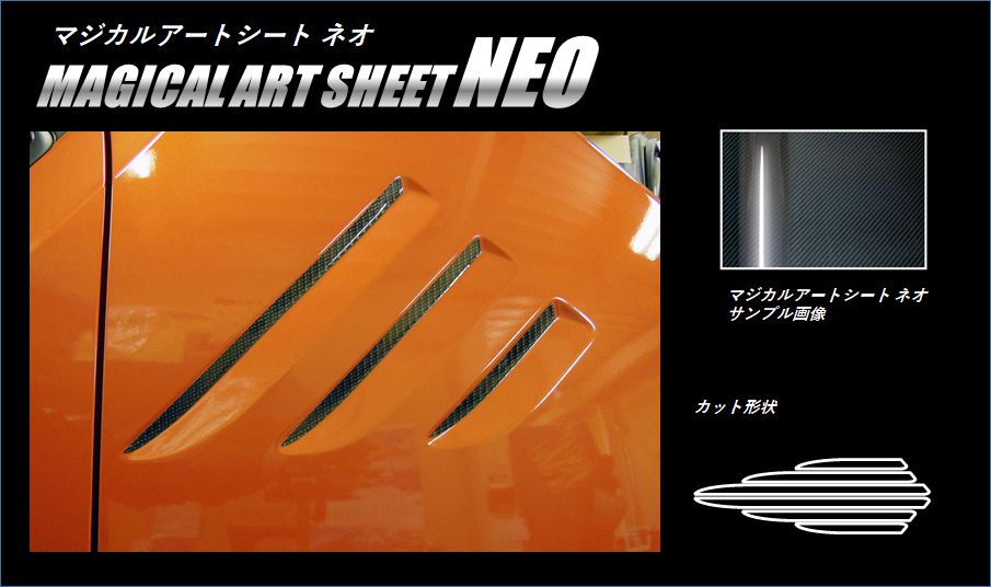 ハセ・プロ公式 オンラインショップ 本店 | 《マジカルカーボン