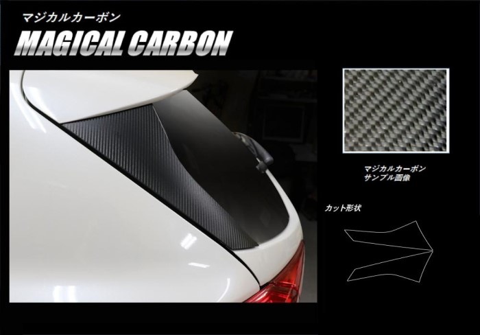 ハセ・プロ公式 オンラインショップ 本店 | 《マジカルカーボン》リア