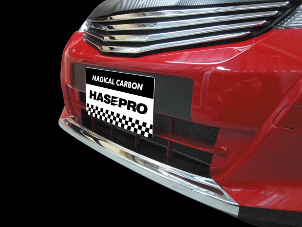 マジカルカーボン　ナンバープレートバックガーニッシュRS専用　ホンダ　フィット　GE8　2010.10～（CNPBH-2）