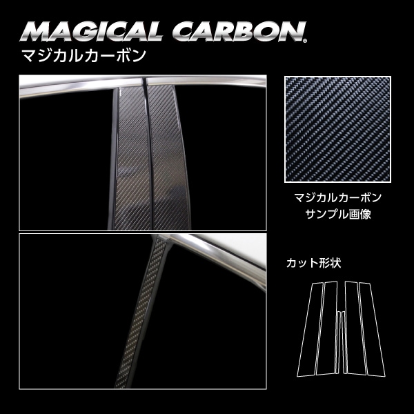ハセ・プロ公式 オンラインショップ 本店 | マジカルカーボン