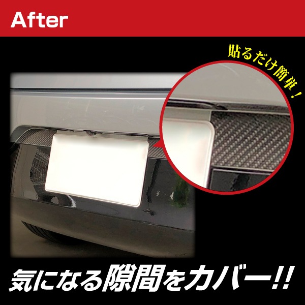 ハセ・プロ公式 オンラインショップ 本店 | マジカルカーボン リア