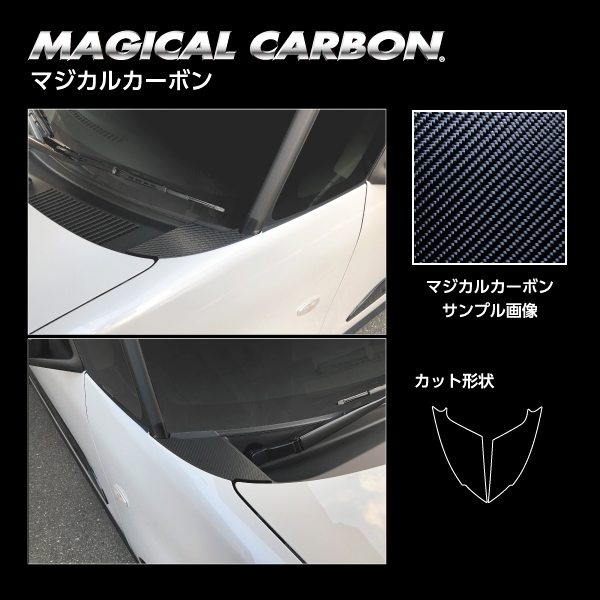 ハセ・プロ公式 オンラインショップ 本店 | マジカルカーボン