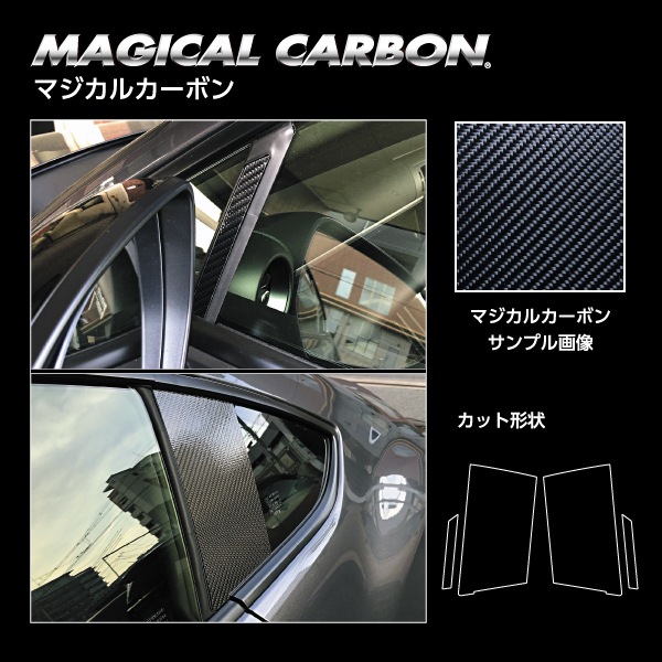 ハセ・プロ公式 オンラインショップ 本店 | マジカルカーボン ピラー