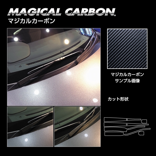 ハセ・プロ公式 オンラインショップ 本店 | マジカルカーボン フロント