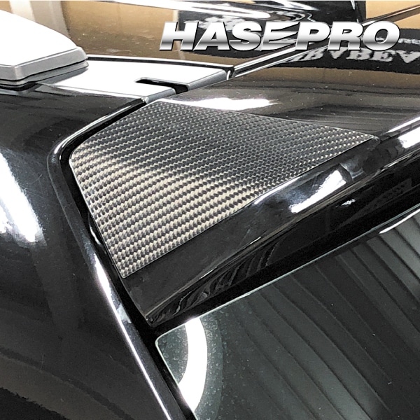 ハセ・プロ公式 オンラインショップ 本店 | マジカルカーボン リア