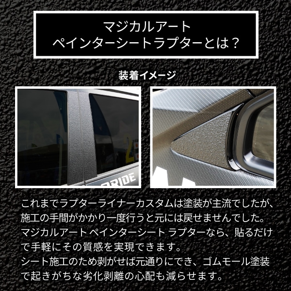 トヨタ ノア ヴォクシー 【ピラー ノーマルカット フルセット】 カーボン カーボンシート ラプター TOYOTA NOAH VOXY 外装 傷防止 汚れ ドレスアップ 保護 簡単 アクセサリー カスタム ZWR/MZRA 90系 90型 ハセプロ