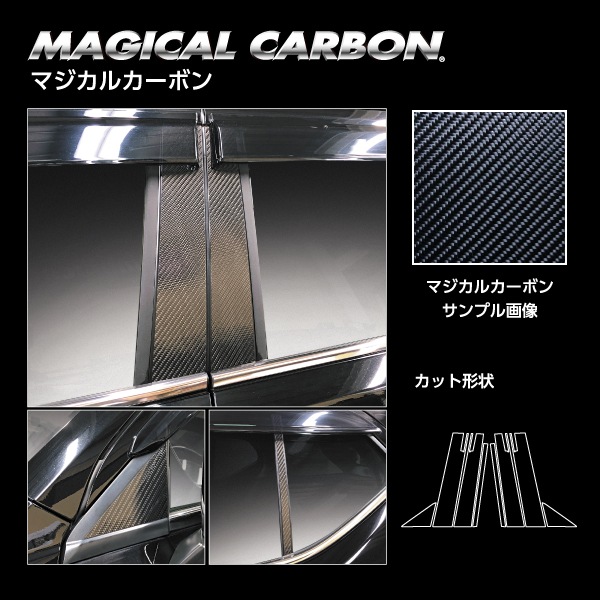 ハセ・プロ公式 オンラインショップ 本店 | マジカルカーボン ピラー