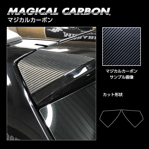 ハセ・プロ公式 オンラインショップ 本店 | マジカルカーボン リア