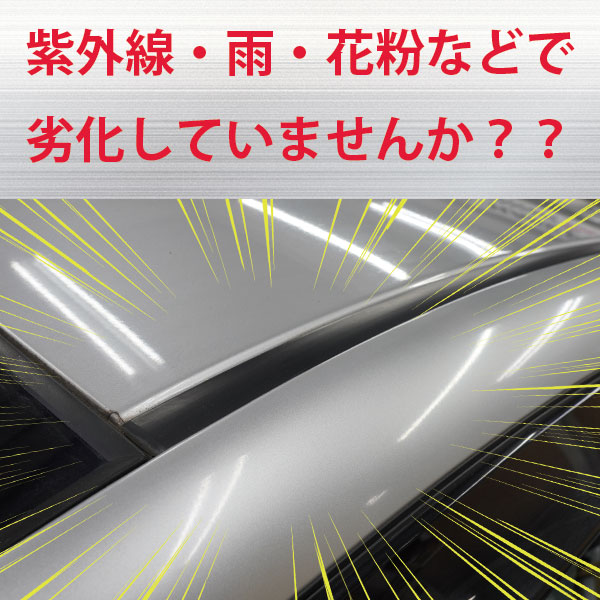 【通販限定】ルーフモール 1.8M 選べる幅【マジカルアートPPFピアノブラック】屋根 レーン ゴム 黒ライン 車の天井のゴムの劣化に白化防止 外装 カスタム PBRM-