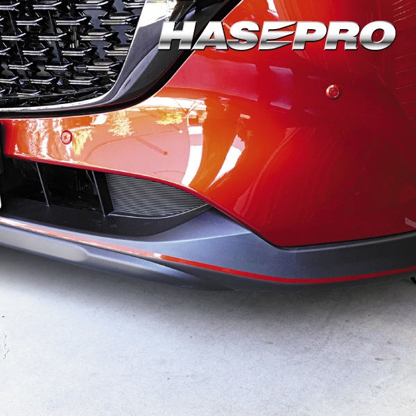 【通販限定】ペインターラインシート幅10mm×長さ2.4m 【マツダ純正近似色】