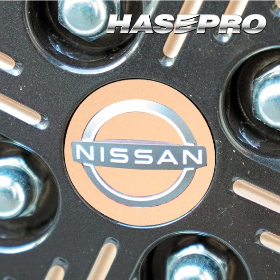ペインターシート ホイールキャップエンブレム 日産 サクラ X B6AW 2022.5～ -WCN3