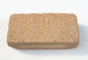 ��󥬡�����ƥ�����Ĵ�١�����E