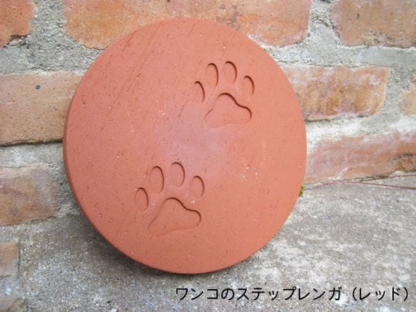 ��� �� �ǥ�����/�ǥ������󥬡���󥳤Υ��ƥåס���åɡ�1�ġ���20cm�¡�3cm���ߡ�