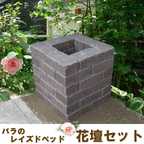����ƥ�����Ĵ�������֥饦��/�餯�餯���/�Х�Υ쥤���ɥ٥åɲ��ť��åȡܷꤢ��Ⱦ�ޥ�6���դ�